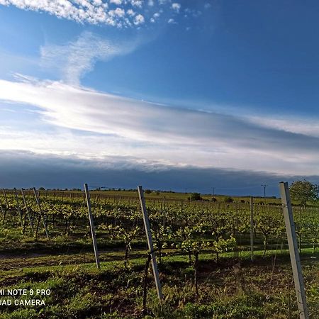 Penzion Sklípek u Svobodů Velké Bílovice Exteriér fotografie
