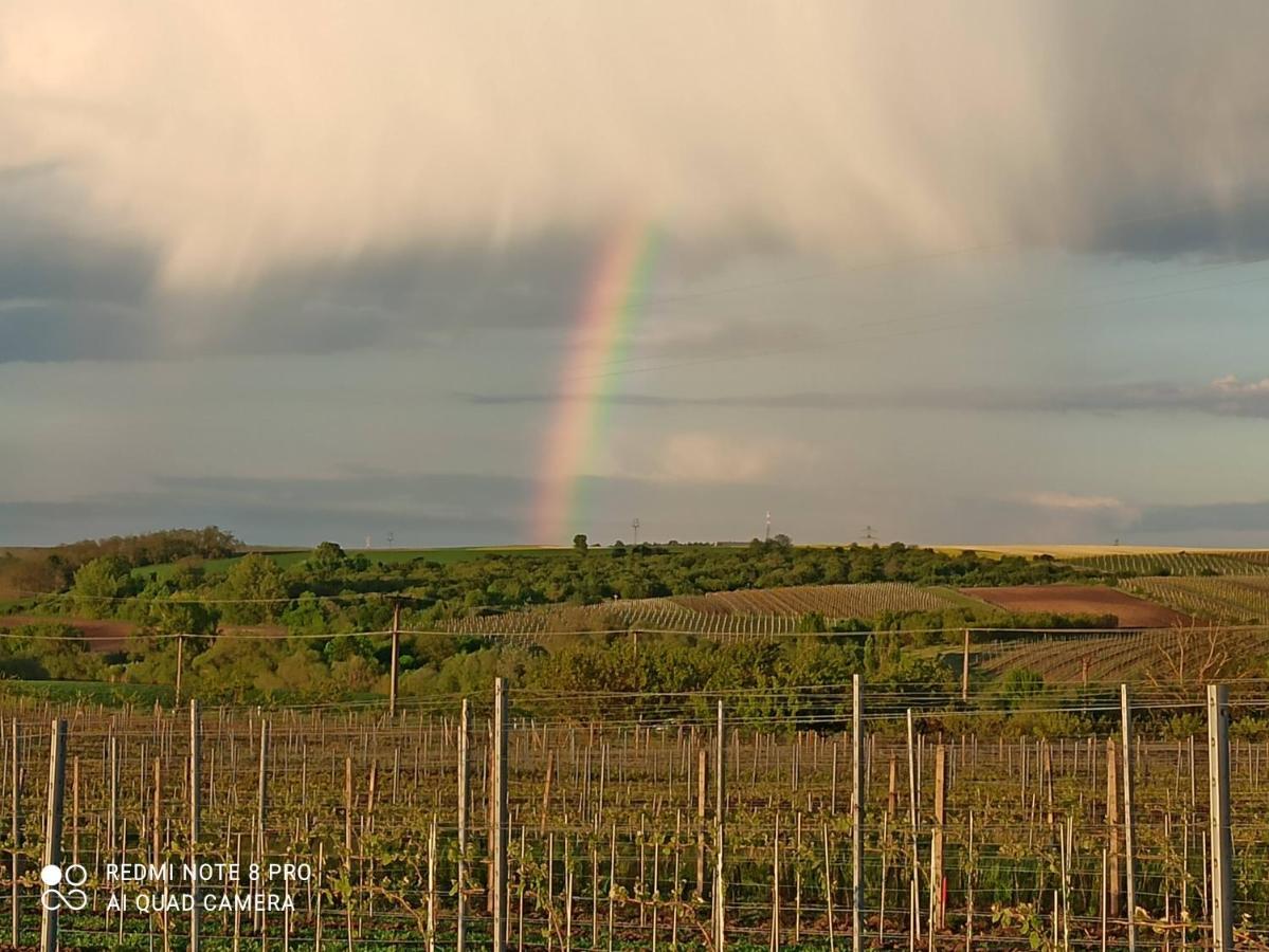 Penzion Sklípek u Svobodů Velké Bílovice Exteriér fotografie